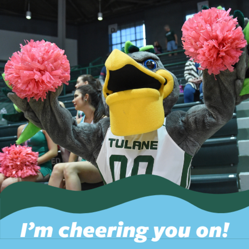 I'm cheering you on!